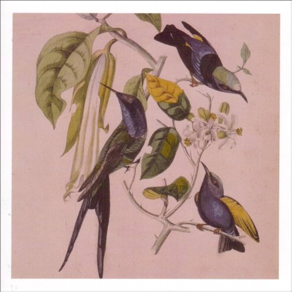 Amazon.co.jp: Sakura by SUSUMU YOKOTA (2001-08-10): ミュージック